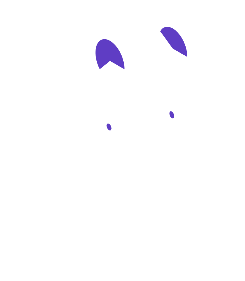 Illustration(4)